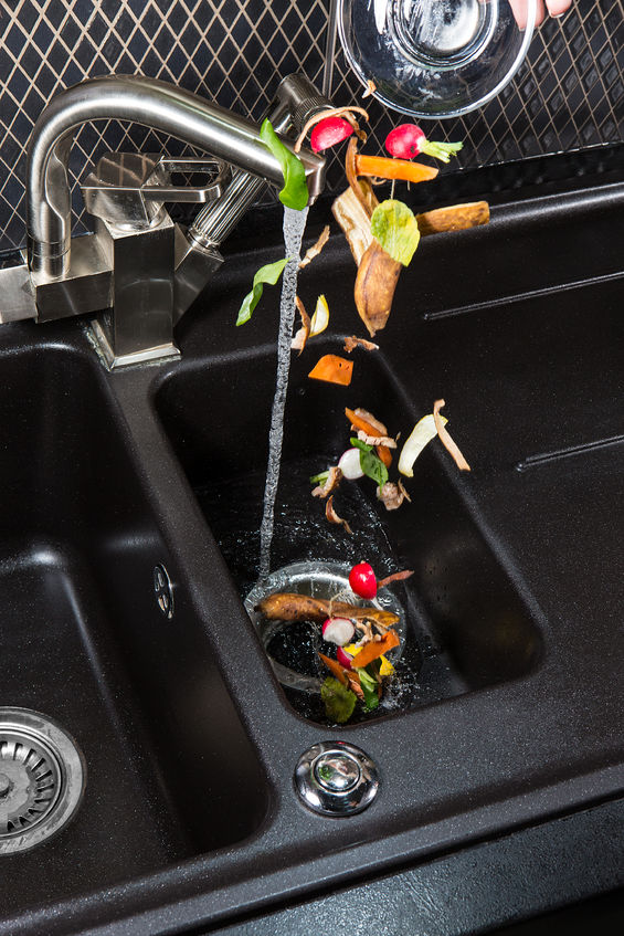 Food waste washed down garbage disposal.